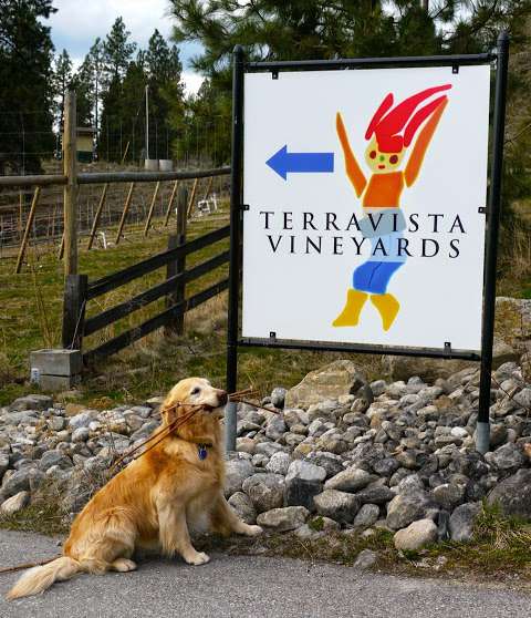 Terravista Vineyards Inc